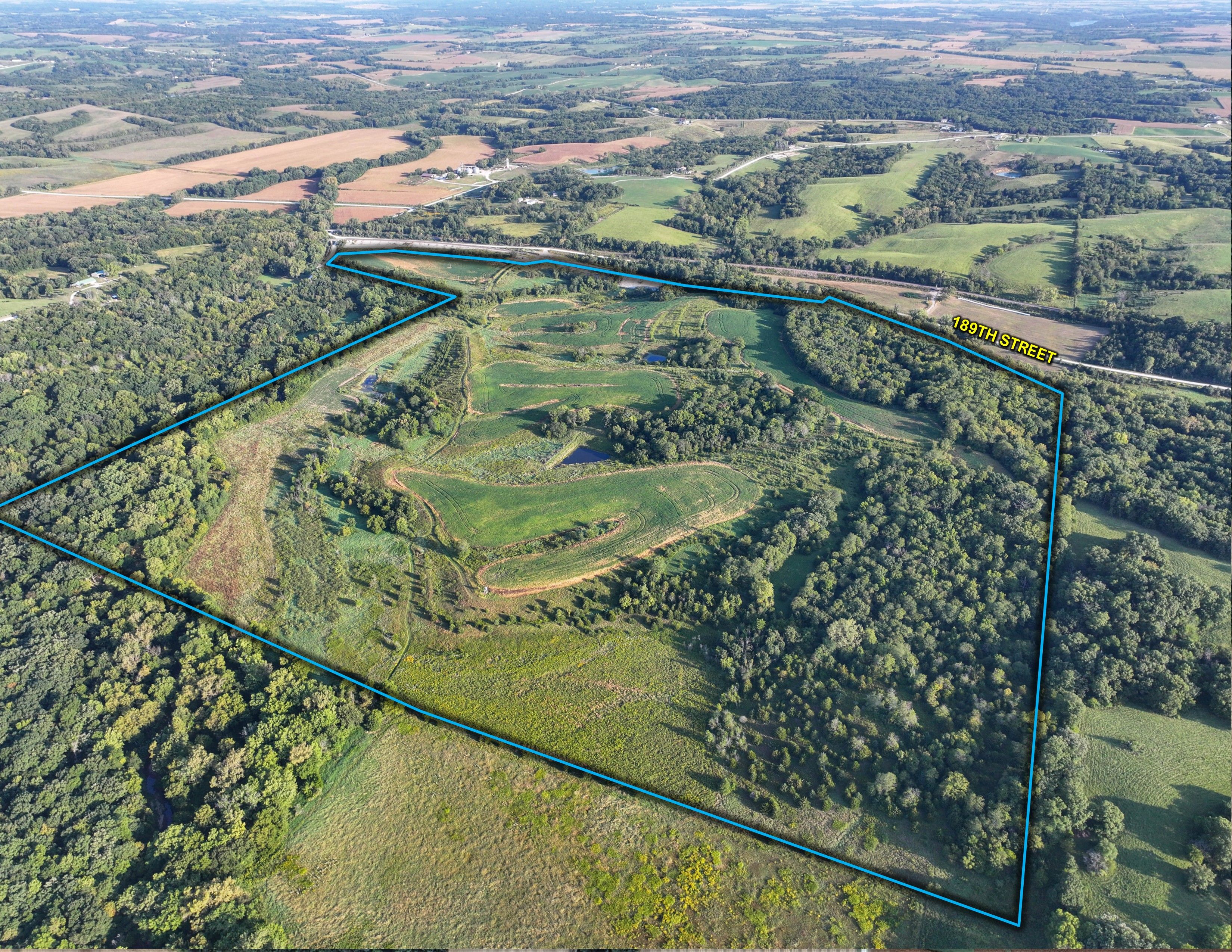 Listing Photo: Edit Albia Recreational Farm 166.75 Acres